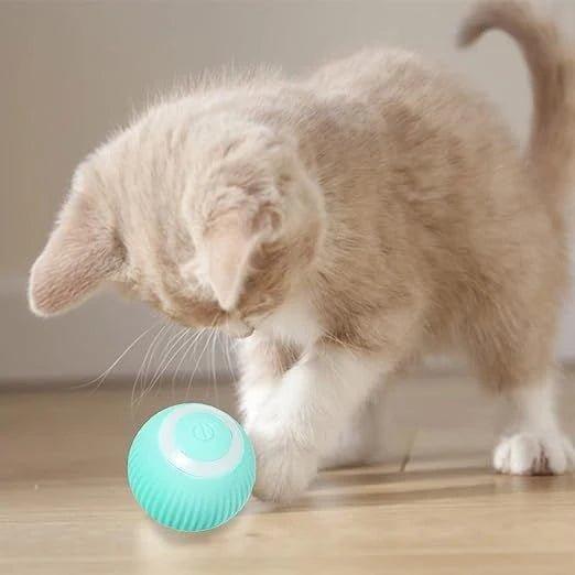 Bola de brinquedo automática para gatos