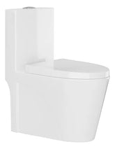 Vaso Sanitário Monobloco Caixa Acoplada Completo - Privada Cor Branco