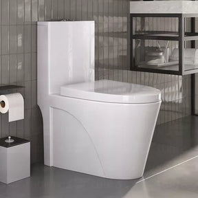 Vaso Sanitário Monobloco Caixa Acoplada Completo - Privada Cor Branco