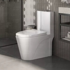 Vaso Sanitário Monobloco Caixa Acoplada Completo - Privada Cor Branco