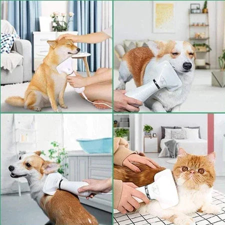 escova secadora pet
