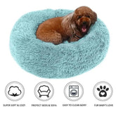 Cama pet