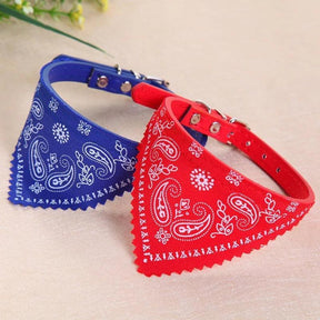 Coleira com Bandana