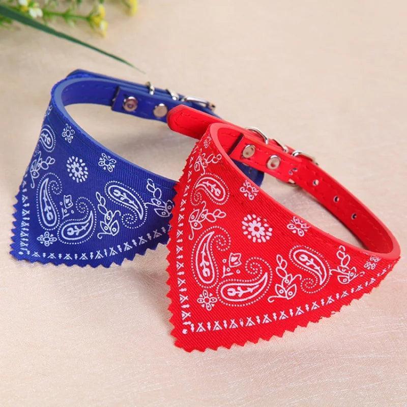 Coleira com Bandana