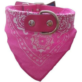 Coleira com Bandana