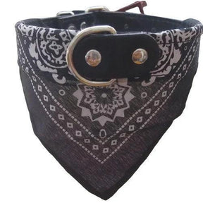 Coleira com Bandana