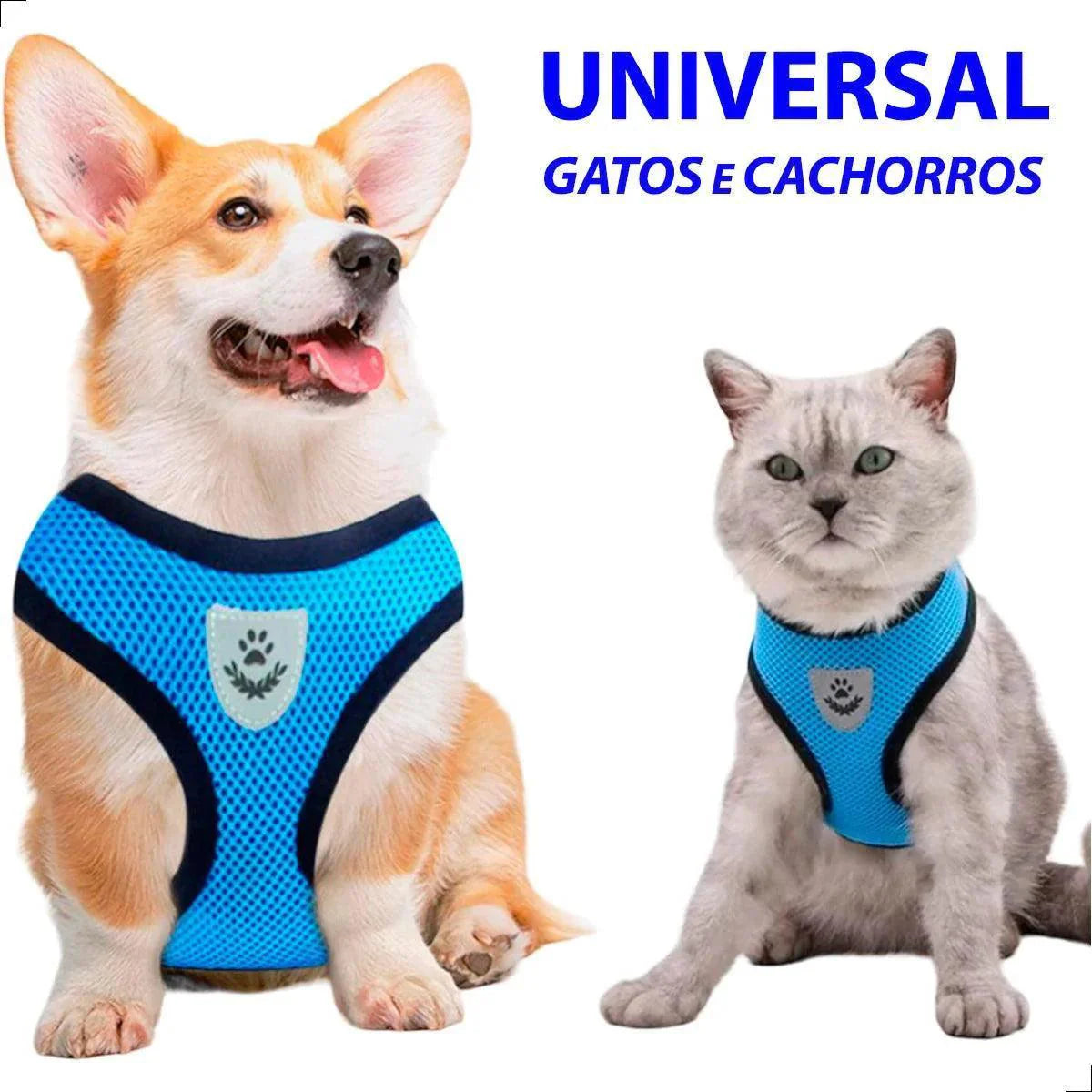Coleira peitoral cão e gato