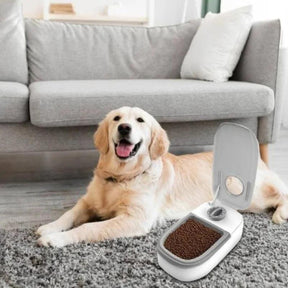 Tigela alimentadora com timer