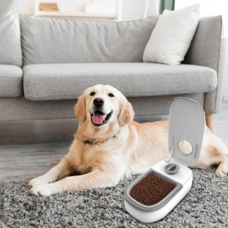 Tigela alimentadora com timer
